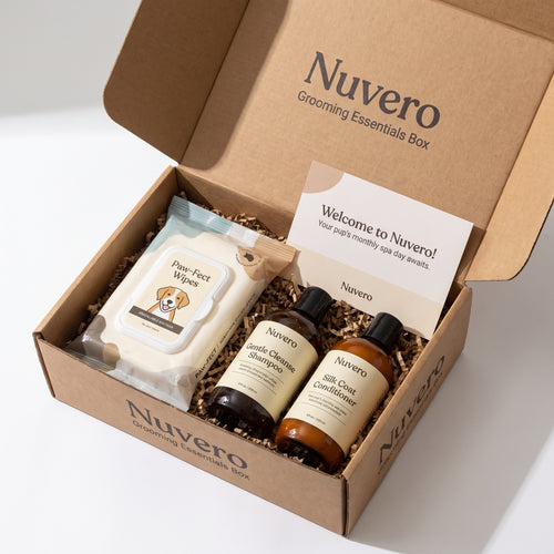 Nuvero Grooming Essentials Box